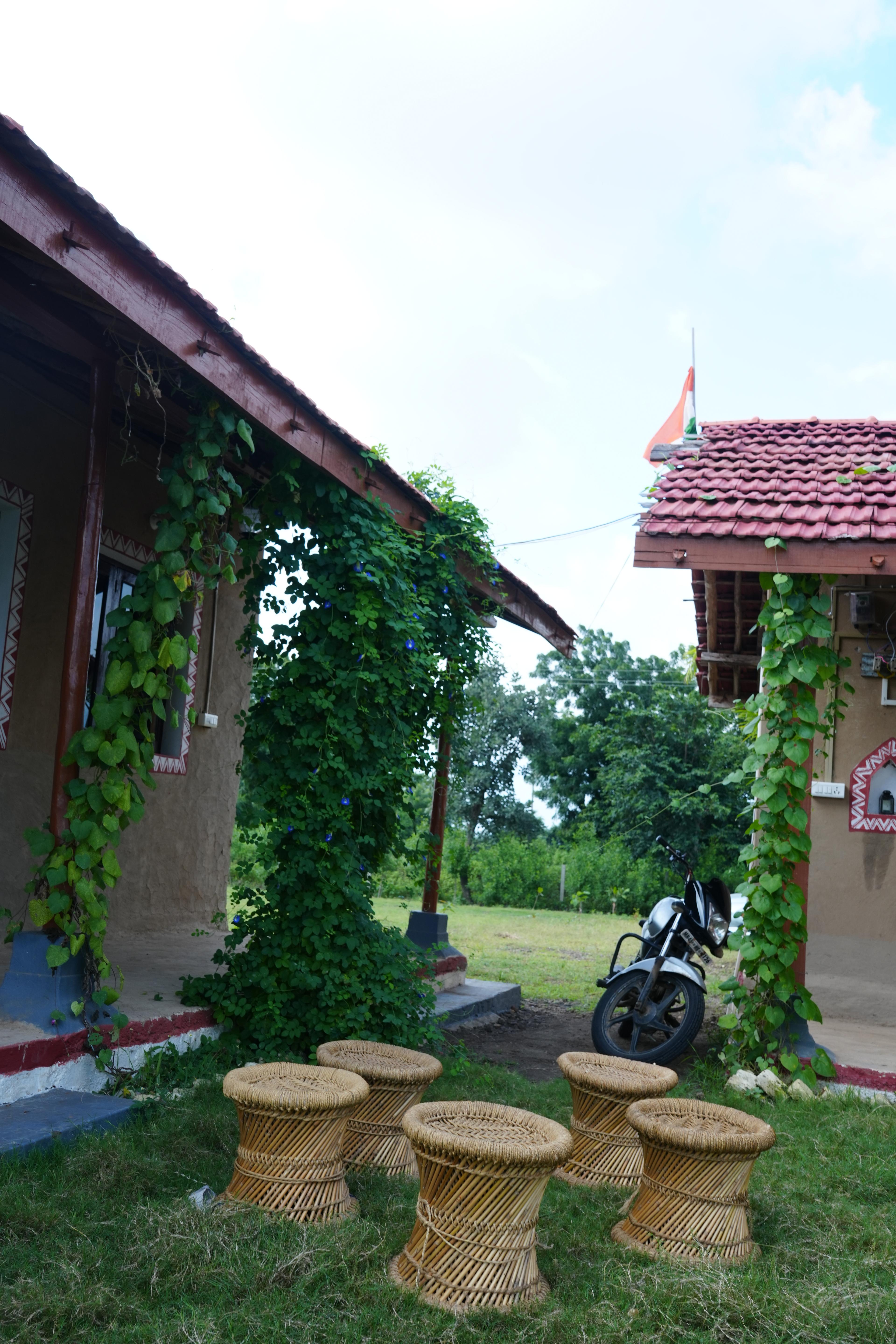 Home Stay - Entrance with Creepers